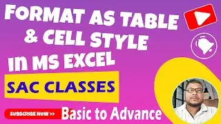 Format As Table & Cell Style  In Ms Excel || Ms Excel Main Format As  Table & Cell Style kya Hai.