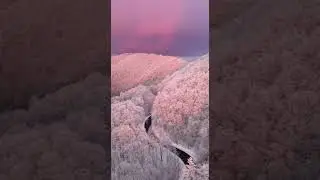Горы и снежный лес