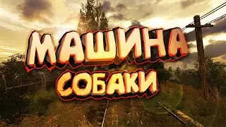 Месть собакам в (S.T.A.L.K.E.R   АВТО ЗОНА)
