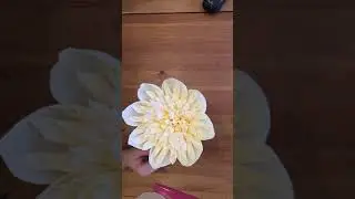 3 часть ЗОЛОТОЙ пион