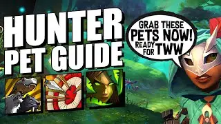 The ULTIMATE Hunter Pet Guide | The War Within | The Best Pets To Use In TWW!