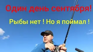 Один классный день сентября!!!/Рыбалка сплавом!!!/Отличная погода!!!/Рыбы нет, но таймень клюнул!!!
