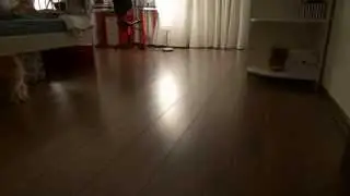 Робот-домохозяин