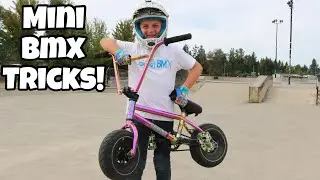 Can I Tailwhip It?! Mini BMX Skatepark Tricks!!