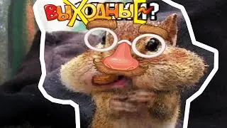 ОБЕД УЮТНЕНЬКО - ОТКУДА МЕМ? КАК СДЕЛАТЬ?