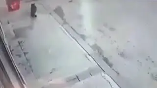 Киса унижает двуногого