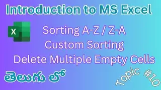 Excel Sorting & Custom Sorting, Delete Multiple Empty Data Cells