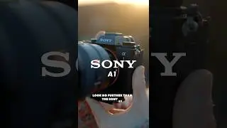 SONY ALPHA 1 - My go to hybrid camera for photo + video