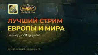 Гномер потом пвп фан. WoW SOD Classic