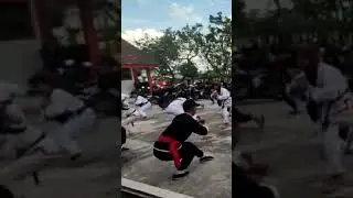 UKT IKS.PI Cabang Demak #shorts #shortvideo