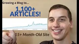 Publishing 1,100+ Articles on 15-month-old Site - Authority Site #2
