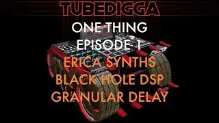 ONE THING EPISODE 1: ERICA SYNTHS BLACK HOLE DSP GRANULAR DELAY