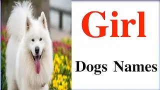 Girl Dog Name || Unique & Cute Girl Dog Names 2025 #dogs #dognames