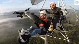 Humans Flying with a Flock of Geese