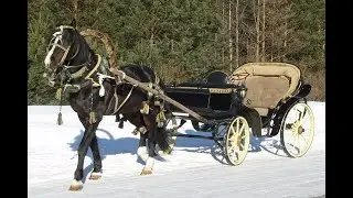 Цыганская песня 