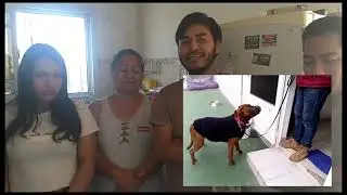 Behavior Modification Workshop + Pitbull Case Testimony RED ZONE
