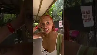MIAMI LEMUR VLOG PT.2