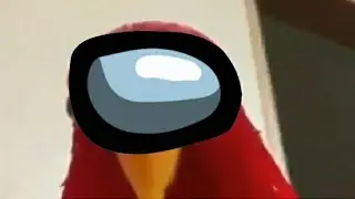 parrot sus