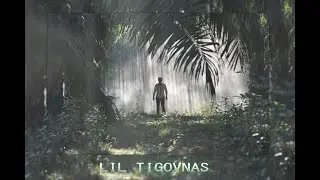 LIL TIGOVNAS - MOMENT (My First PHONK)