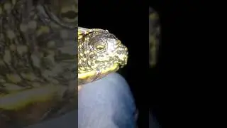 Слава богу спасли