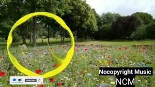 MusicbyAden - Earth Free music For YouTube content creators  (NoCopyright Music NCM) Best 10