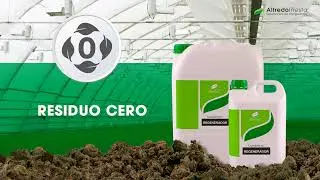 Desinfección natural para suelos agrícolas (Lombrico REGENERADOR)