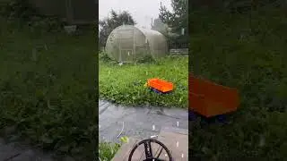 Дождь 
