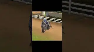 Как позвать лошадь на участок в Симс 4