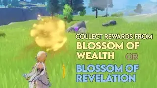 Collect rewards from Blossoms of Wealth or Blossoms of Revelation - Genshin Impact