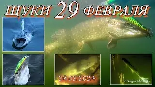 Щуки 29 февраля