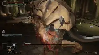 WTF