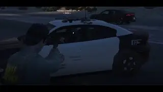 Non RP LSPD