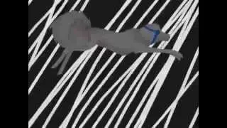 Ein Wolf Run Cycle