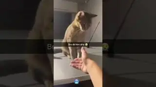 хммм 2