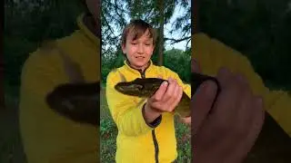 Словили первую щуку 🎣