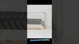 Humane Mouse Trap Plastic Jar 