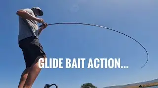Glide Bait action from this spring!