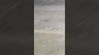 barish Pani re pani