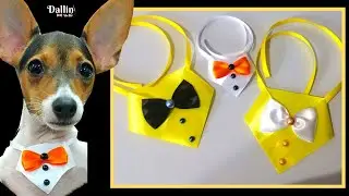 Gravata Pet Com Colarinho - Super CHIQUE e Fácil