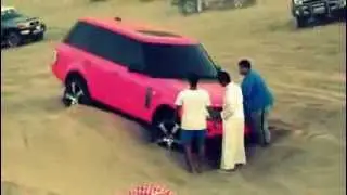 Pembe Range'in ağzına sıçmak