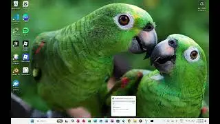 How to Install RabbitMQ & Kafka w/ SetUp on Windows | Tutorial