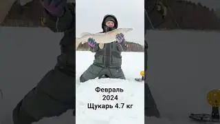 РАЗДАЧА НА ЖЕРЛИЦЫ #shorts  #рыбалка #рыбалканаоби #жерлицы