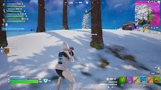 Fortnite: First Win of the New Year
