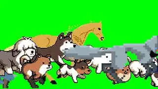 Pixelated Animal Stampede Green Screen for 