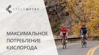 Поговорим о МПК.