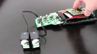Hexapod Animabot Rev2 - Servos test with STM32F4