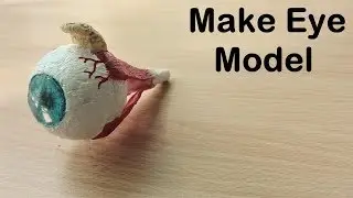 How to make Eye Model | 3d thermocol/styrofoam project | Holiday Homework