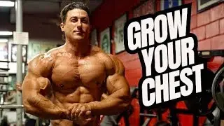 5 Exercises That BLEW Up My Chest (Full Workout w/ Tips)