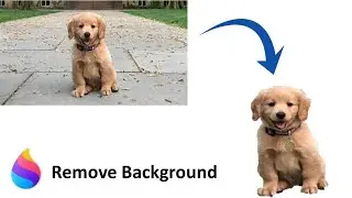 How to Remove an Image Background on Windows 11