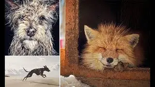 Winners of iPhone photography awards revealed - 247 news